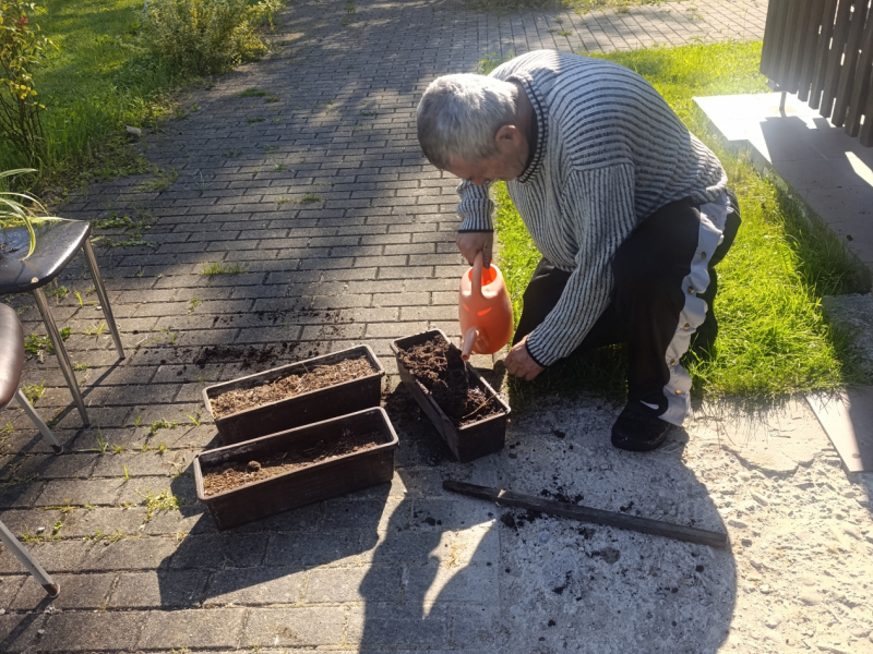 Jarné vysádzanie kvetov 2025 